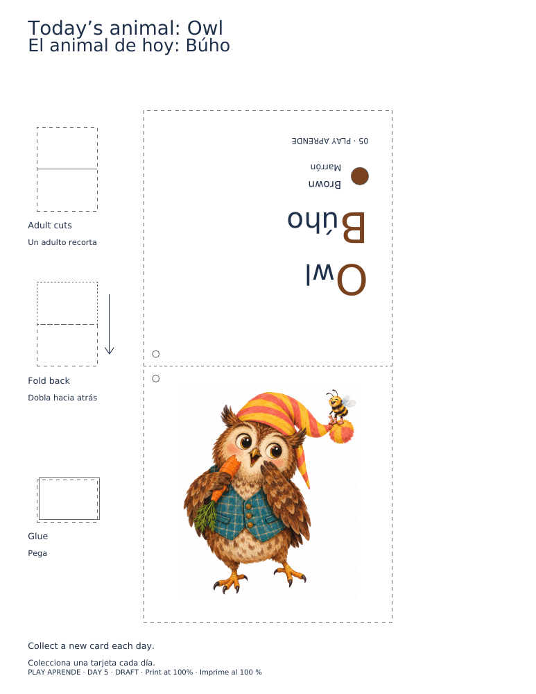 Printable preview: Today’s animal: Owl