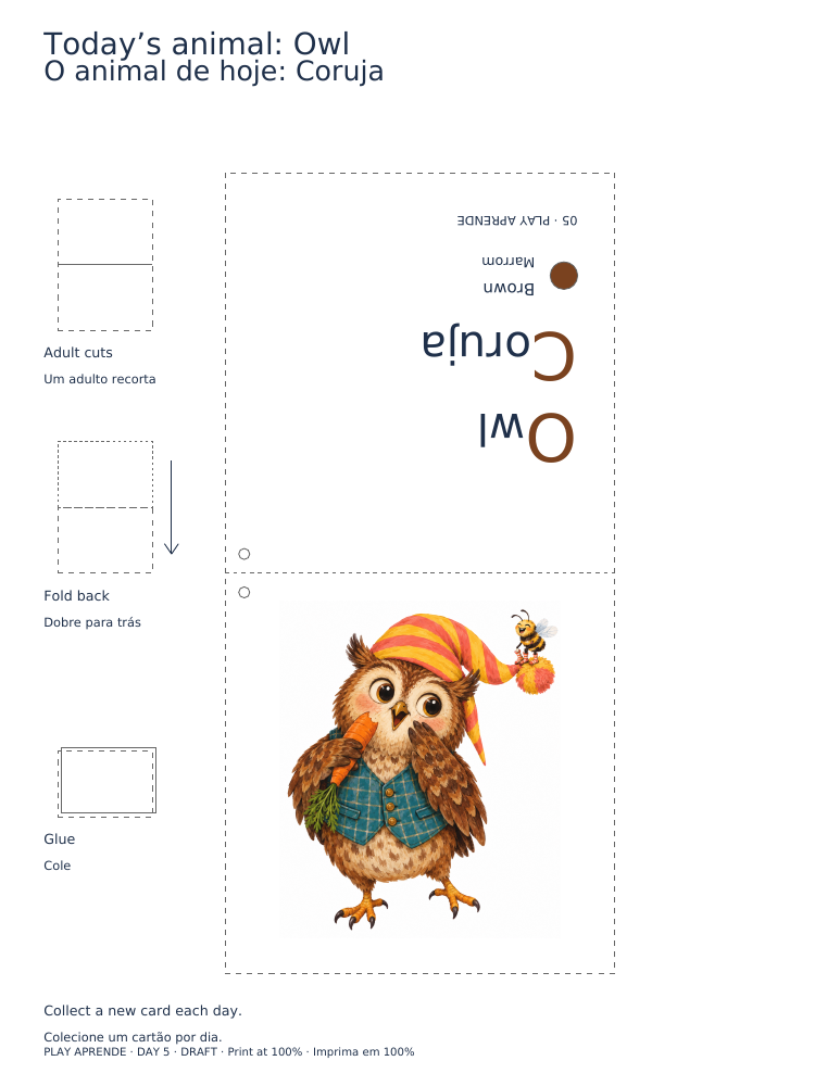 Printable preview: Today’s animal: Owl