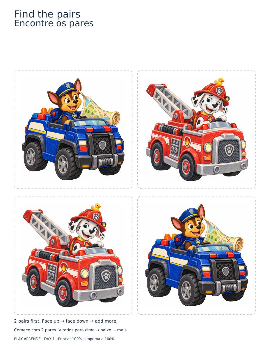 Printable preview: Find the pairs